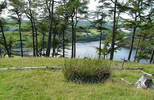 Llyn Clywedog (Reservoir)